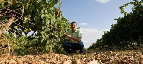 Bodegas Val de Vid