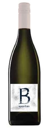 2020 Grüner Veltliner Spontan Benedikt