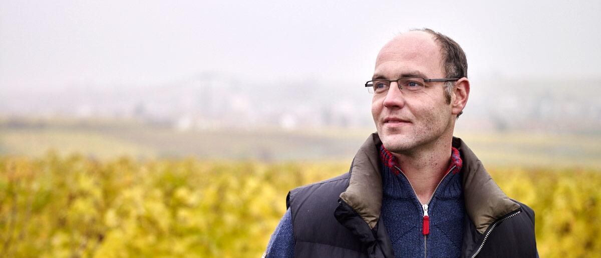 Weingut Dr. Koehler