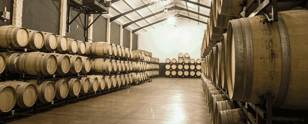 Weingut Bodegas Carchelo