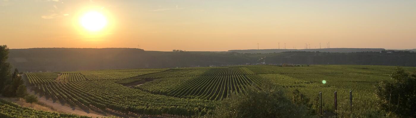 Weingut Georg Schneider