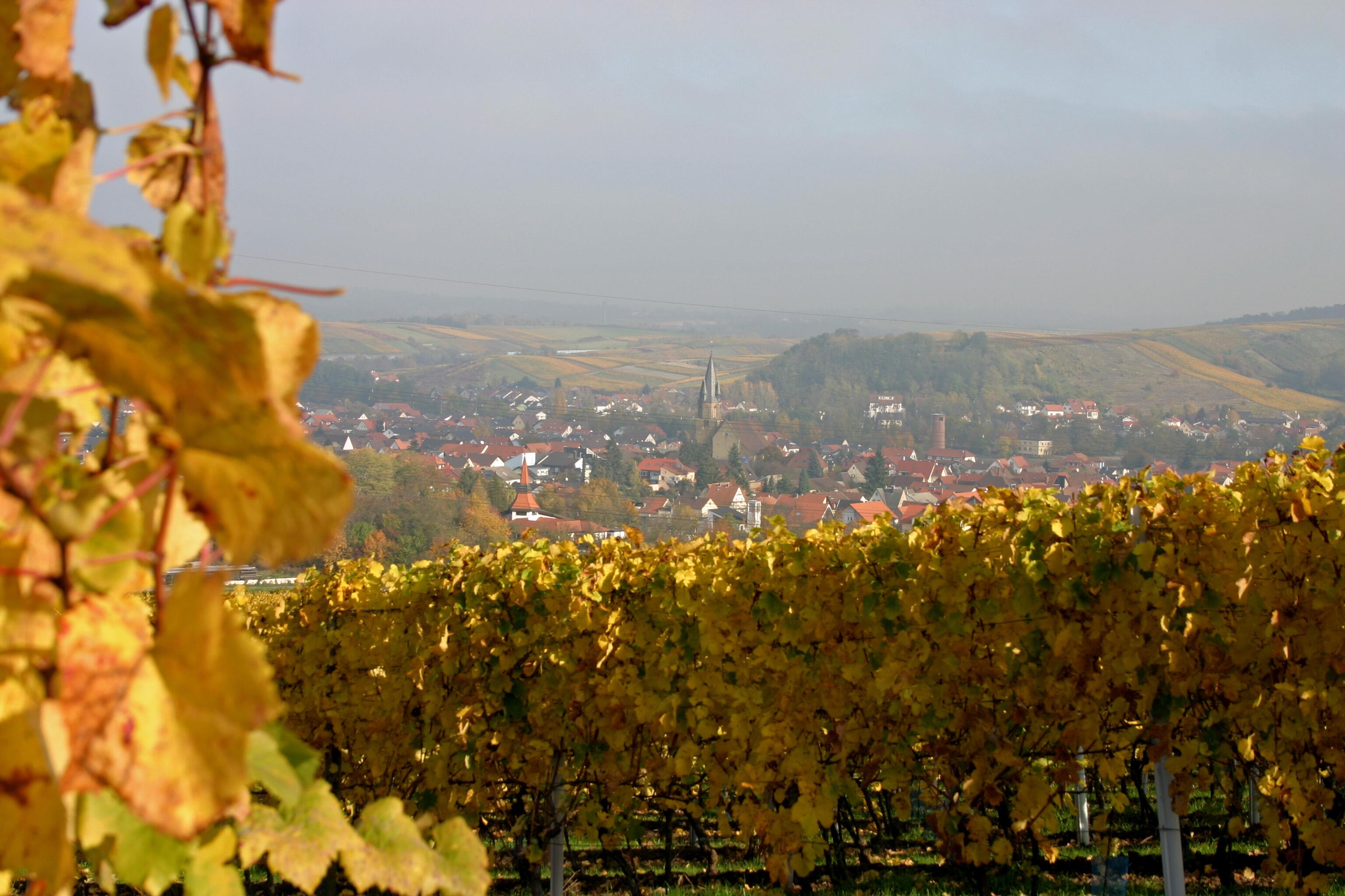 Weingut Ihle GBR