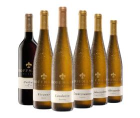 Probeerlebnispaket TROCKEN Weingut Rudolf Hoffmann