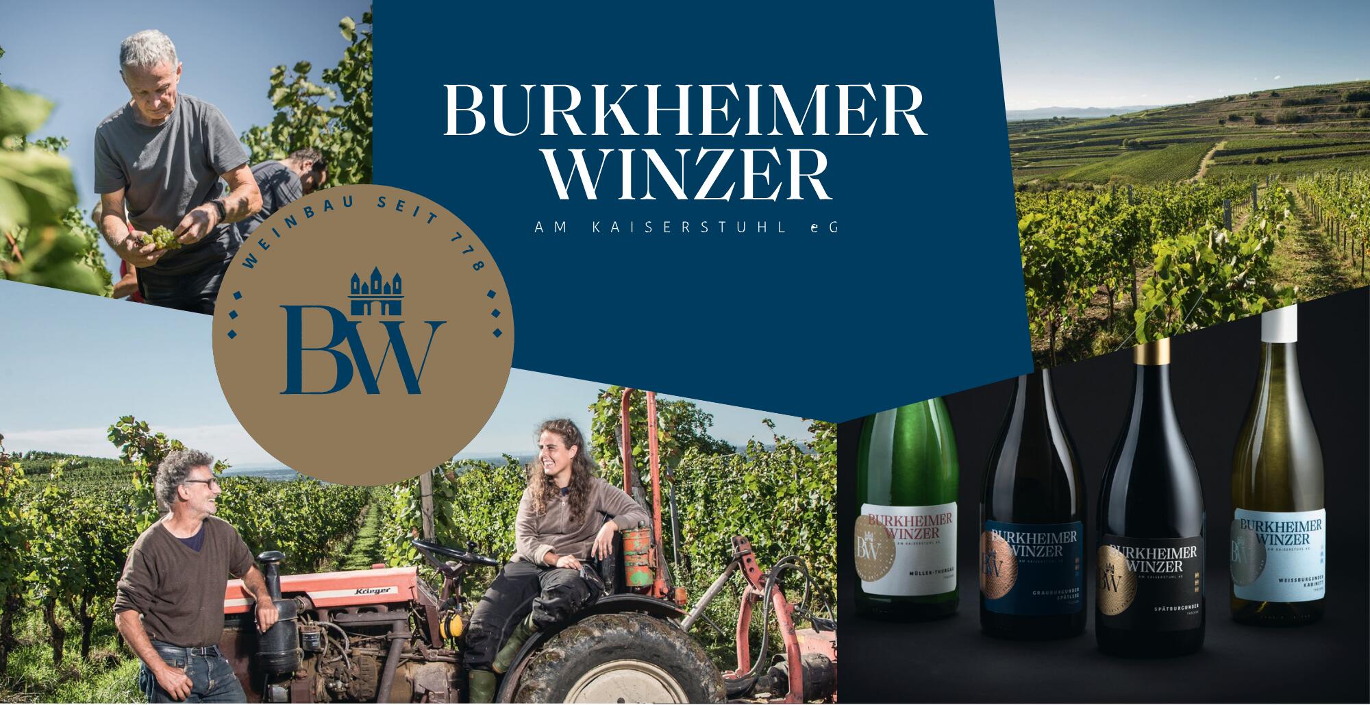 Burkheimer Winzer am Kaiserstuhl eG