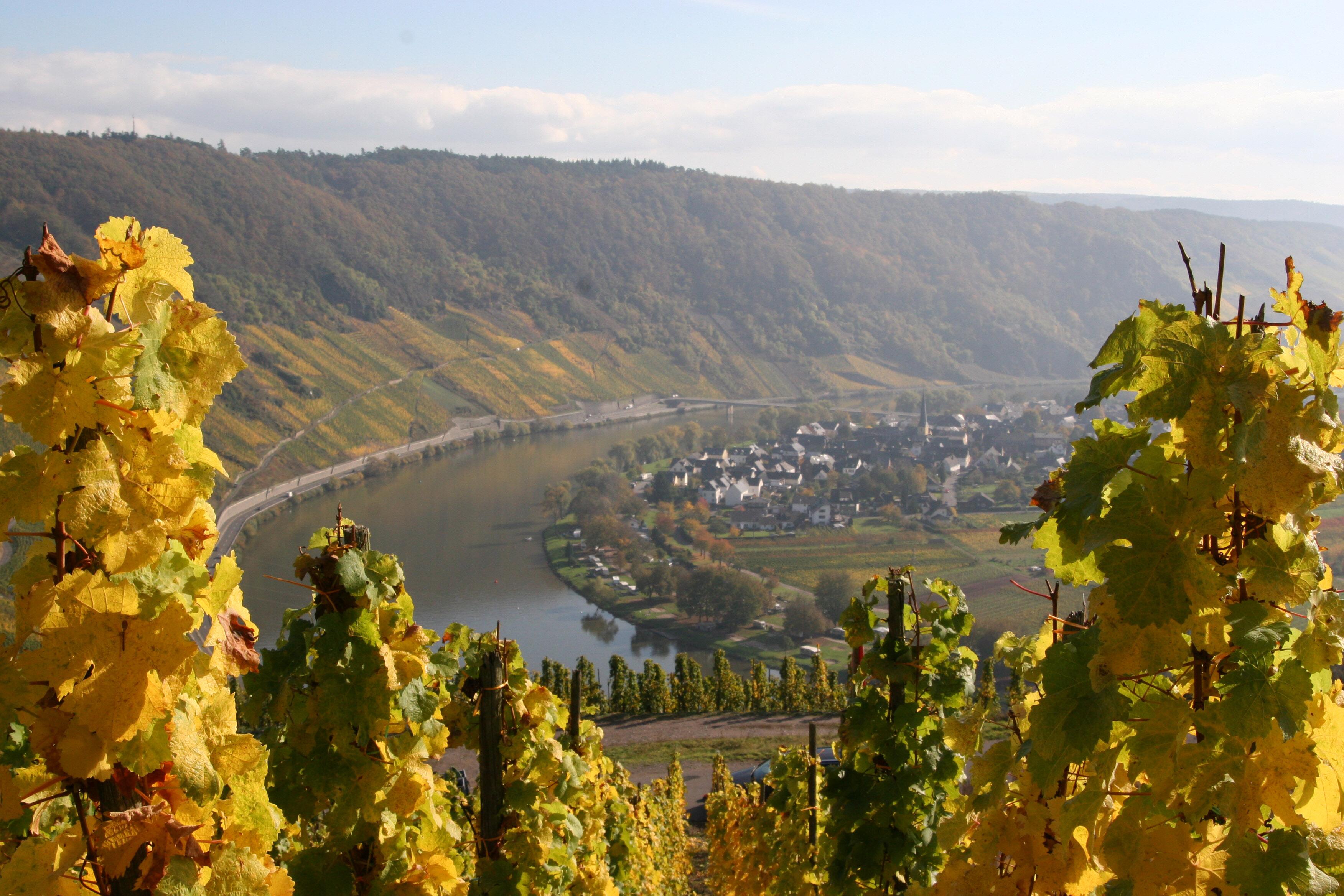 Weingut Römerhof