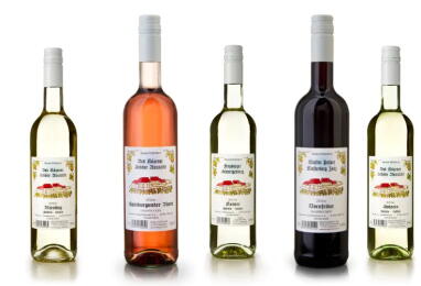 Probierpaket halbtrocken 6er