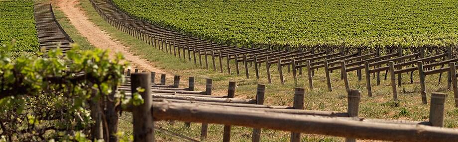 Weingut Deakin Estate