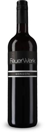 FeuerWerk  2015