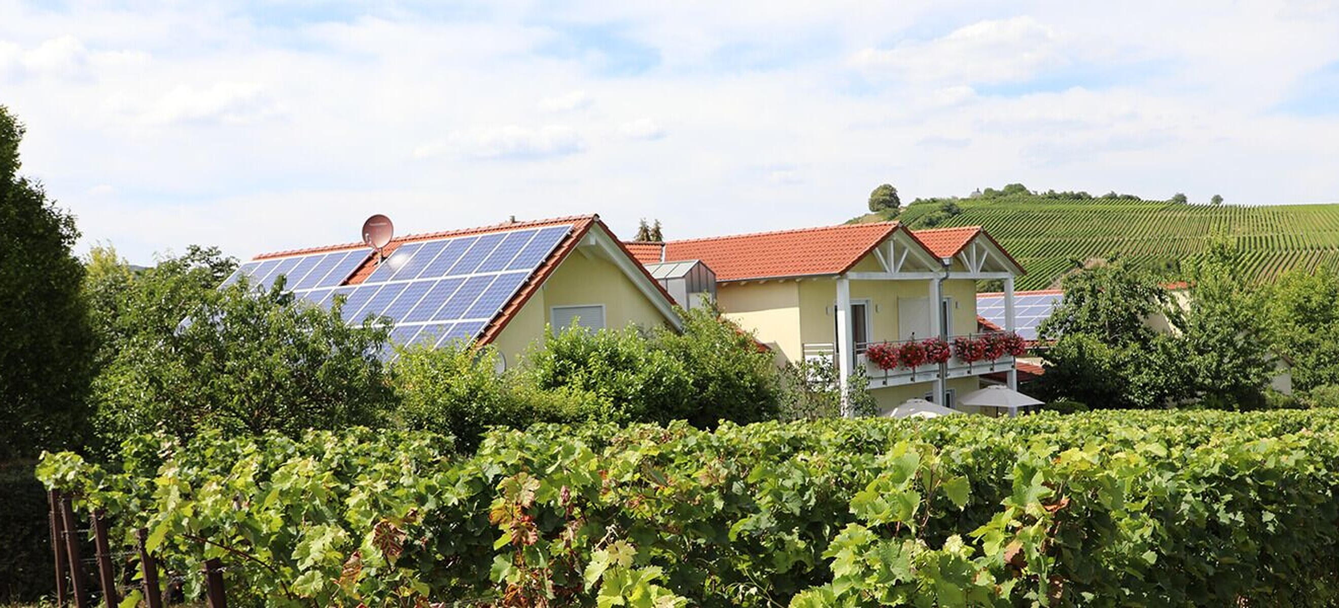Weingut Bosch