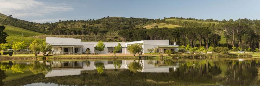 Weingut Morgenster