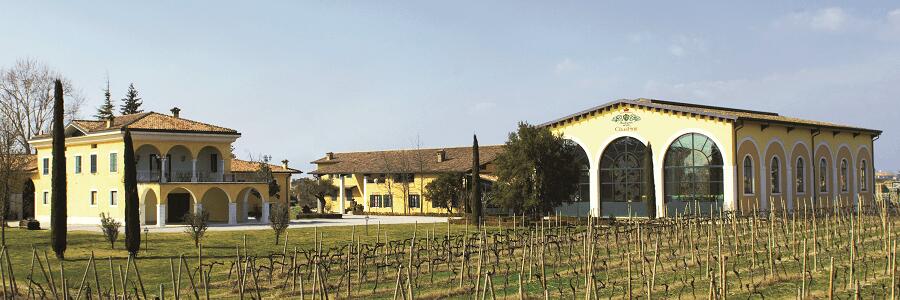 Weingut Cà dei Frati