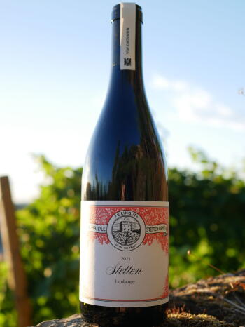2023 Lemberger trocken Stetten -BIO-