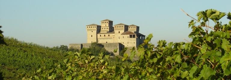 Weingut Carra di Casatico