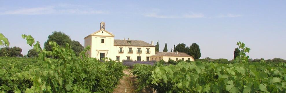 Weingut Costa Arènte