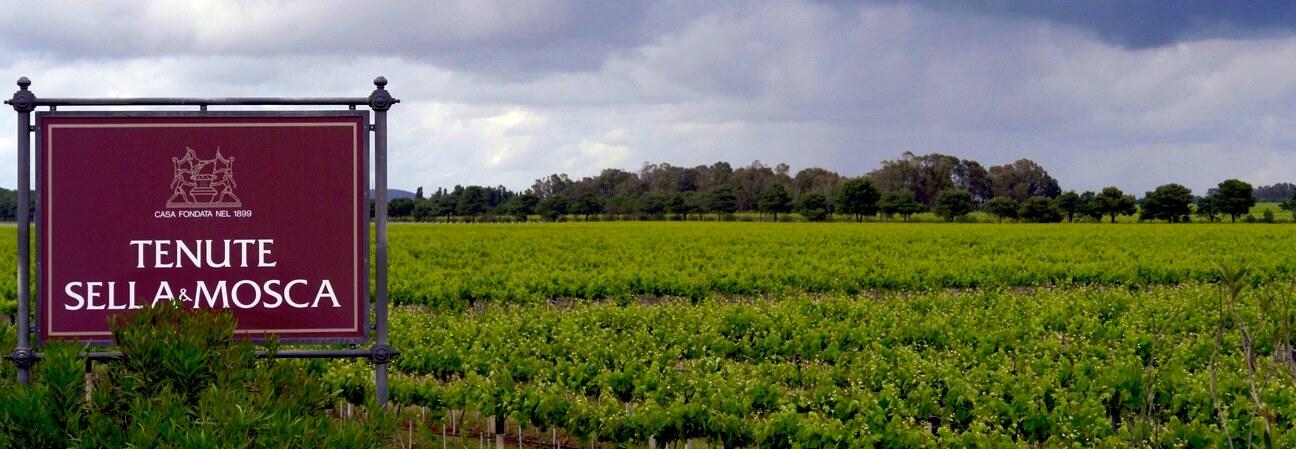 Weingut Sella & Mosca