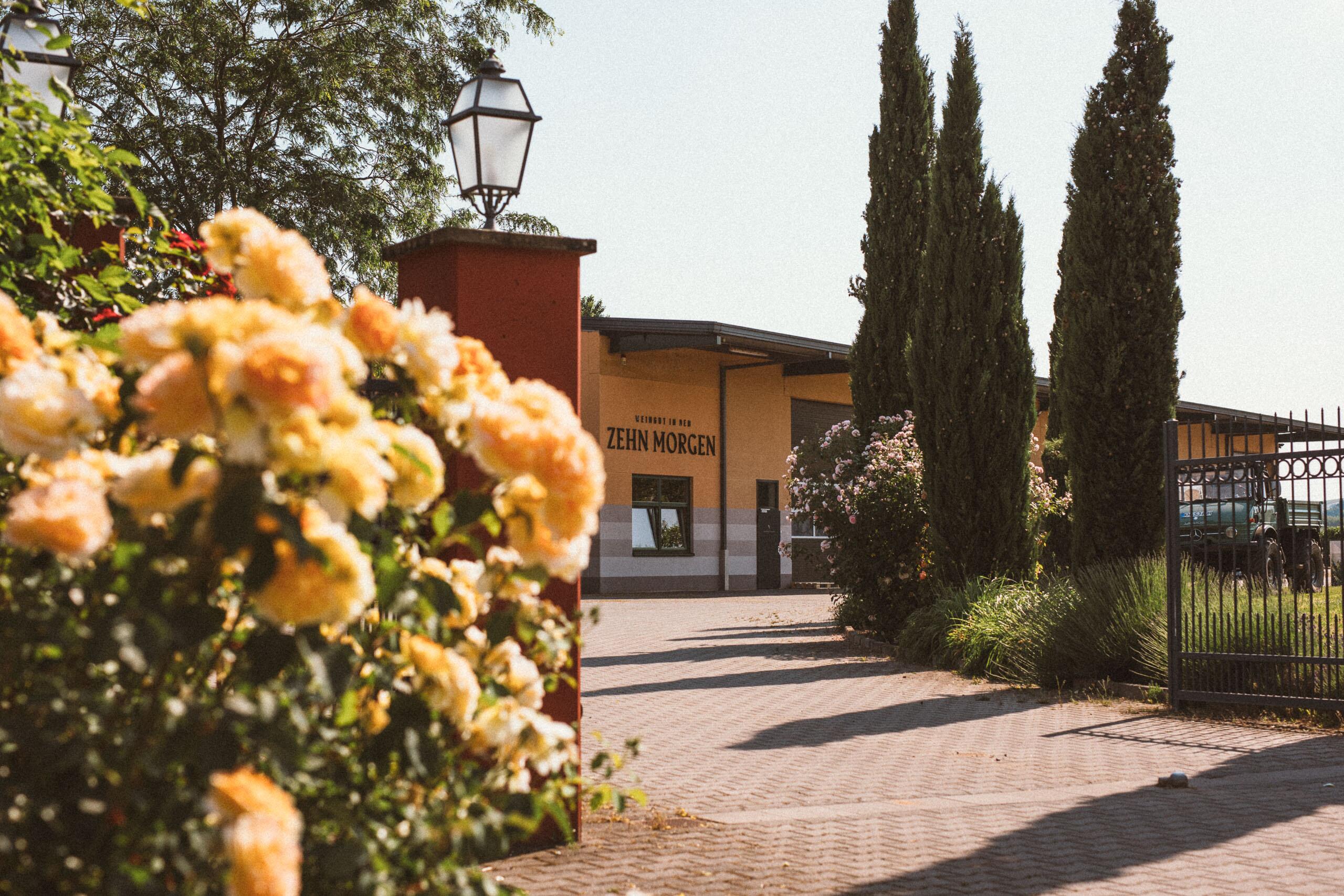 Weingut In den Zehn Morgen