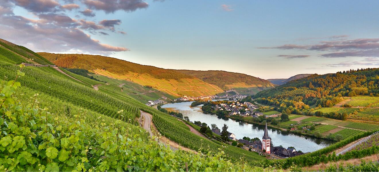 Weingut Frieden-Berg Gbr