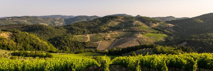 Bodegas Alvaro Palacios