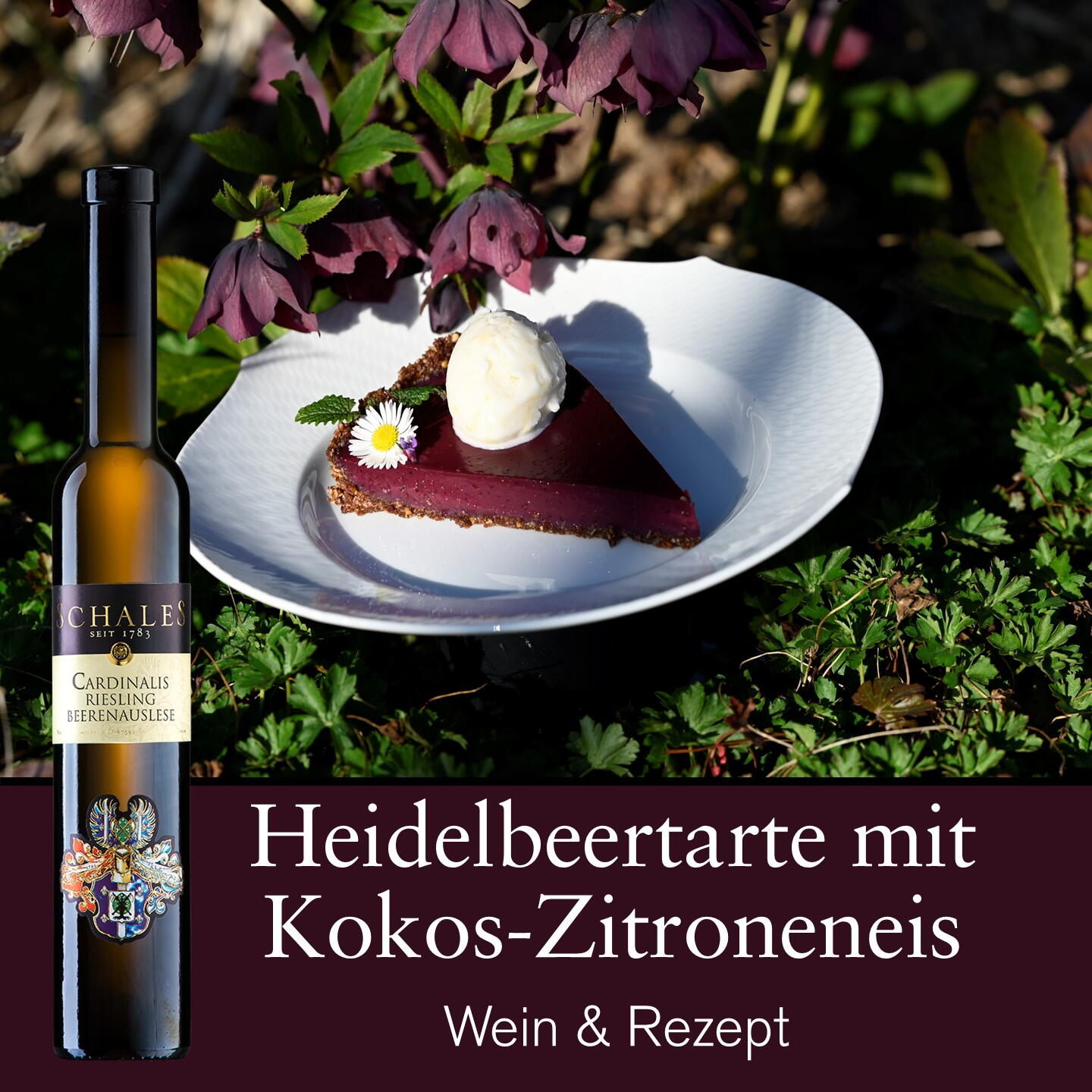 Rezept-Tipp | Januar 2026 (R001)