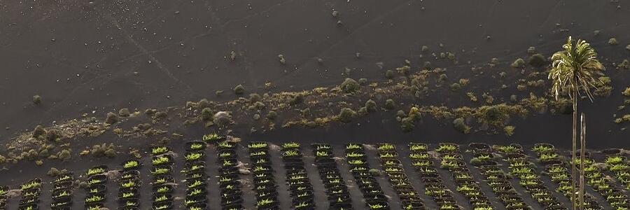 Weingut Los Bermejos