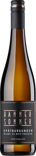 2025 2025er Blanc de Noir Spätburgunder trocken Königsbacher 