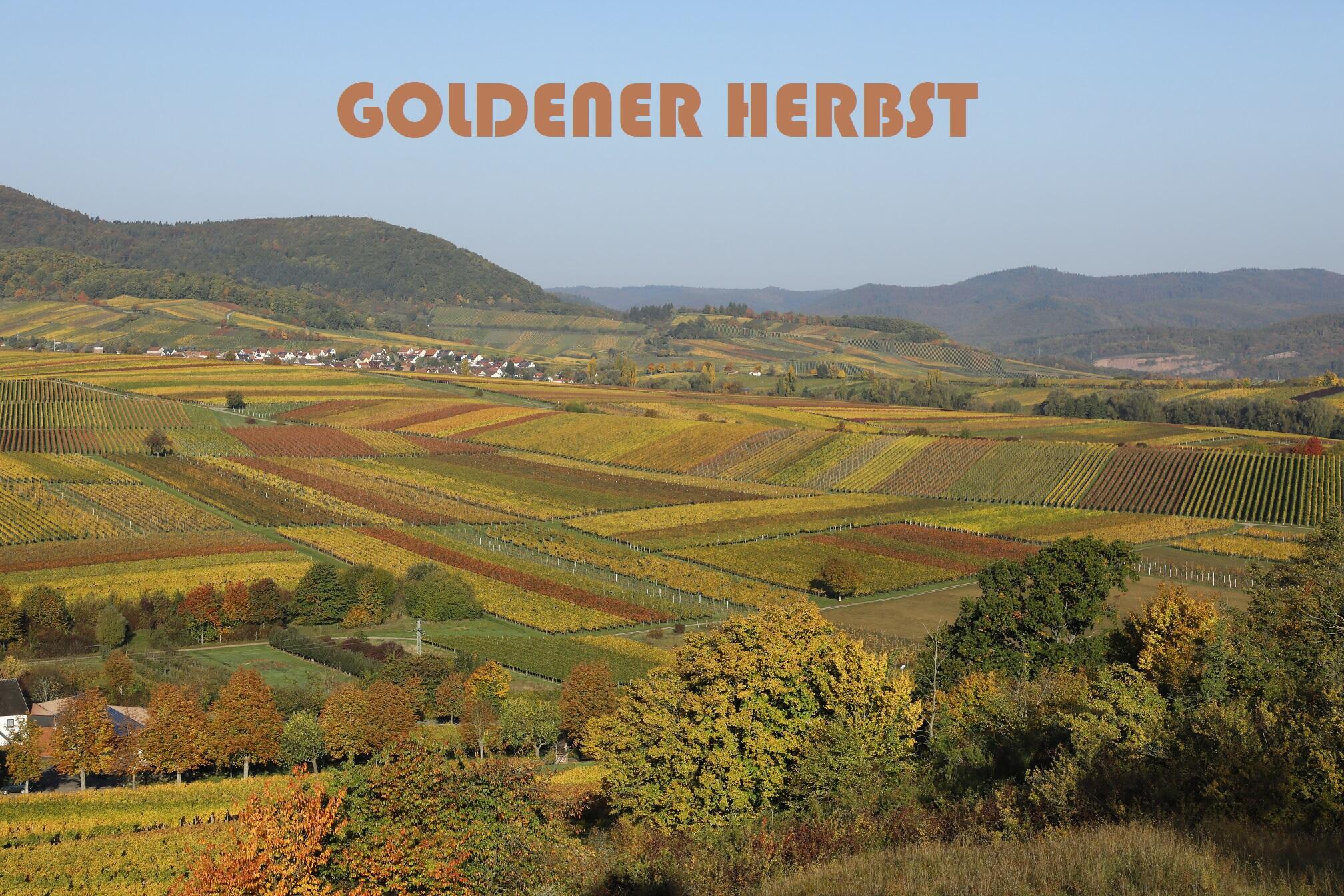 Genusspaket "Goldener Herbst"