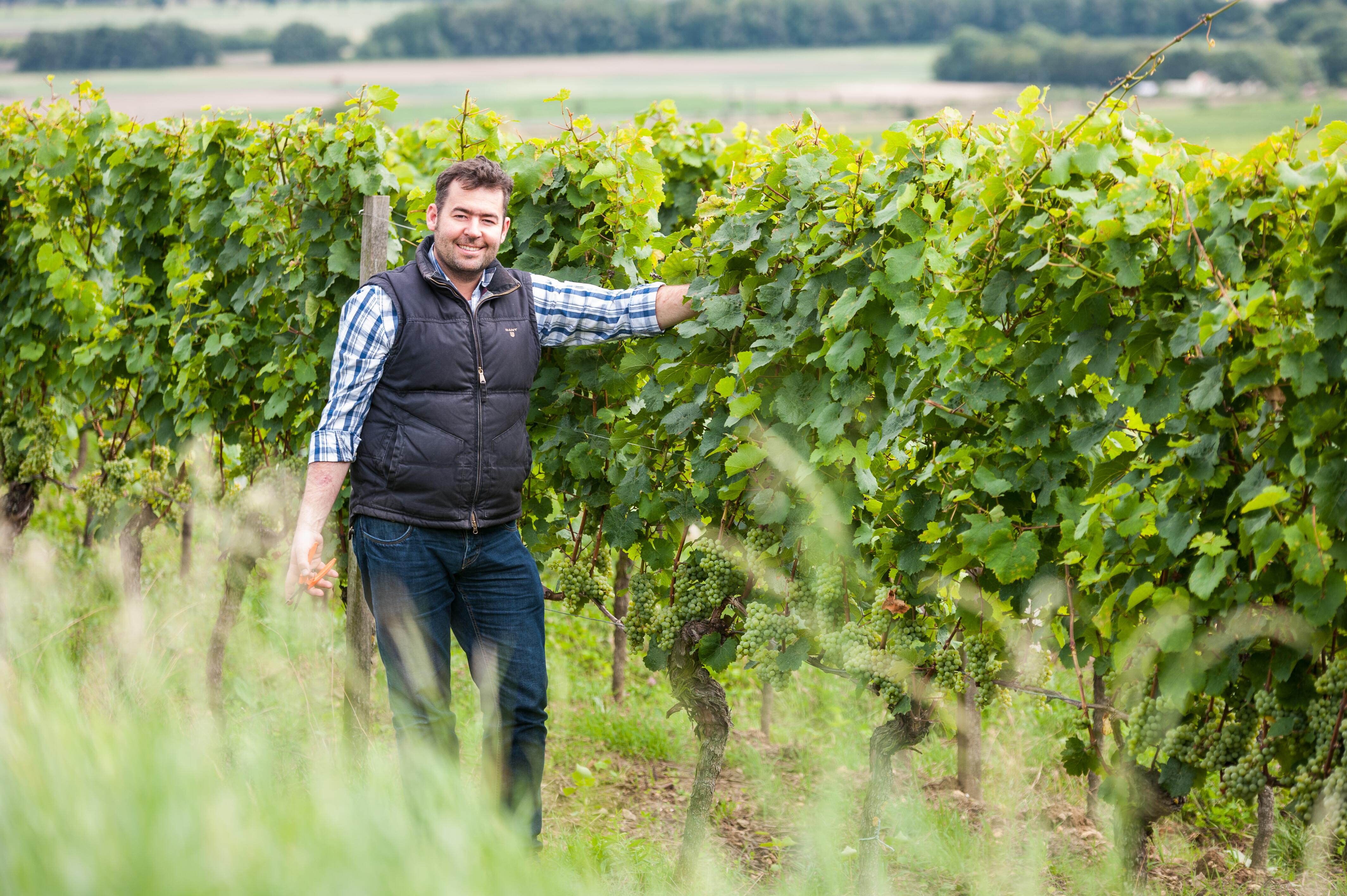 HIESTAND Weingut & Hofbrennerei