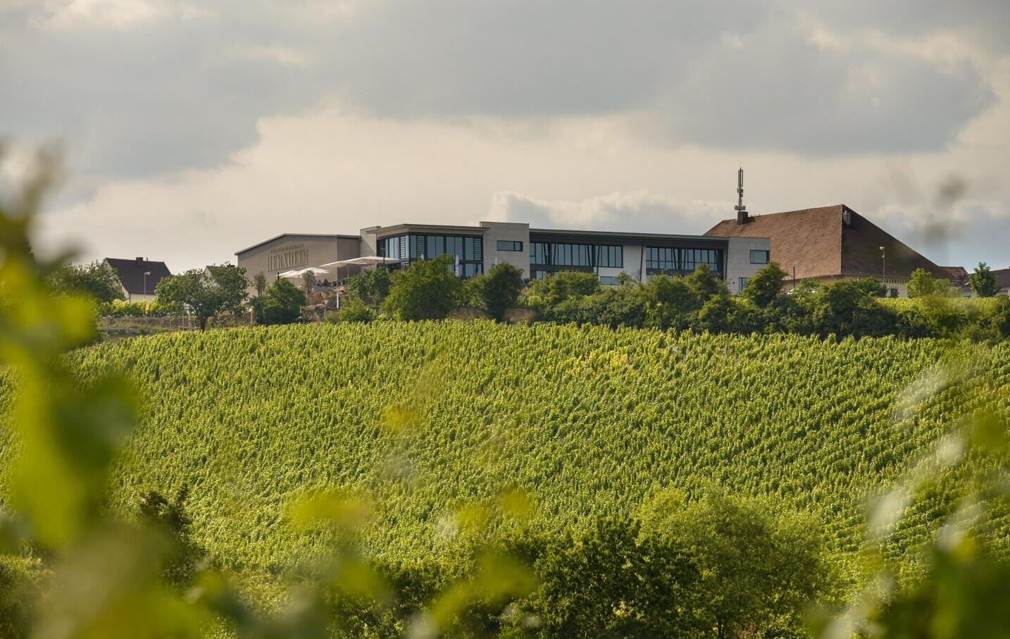 Winzergenossenschaft Herxheim am Berg