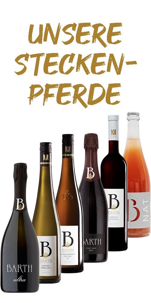 Probepaket UNSERE STECKENPFERDE