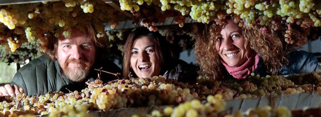 Fattoria di Piazzano