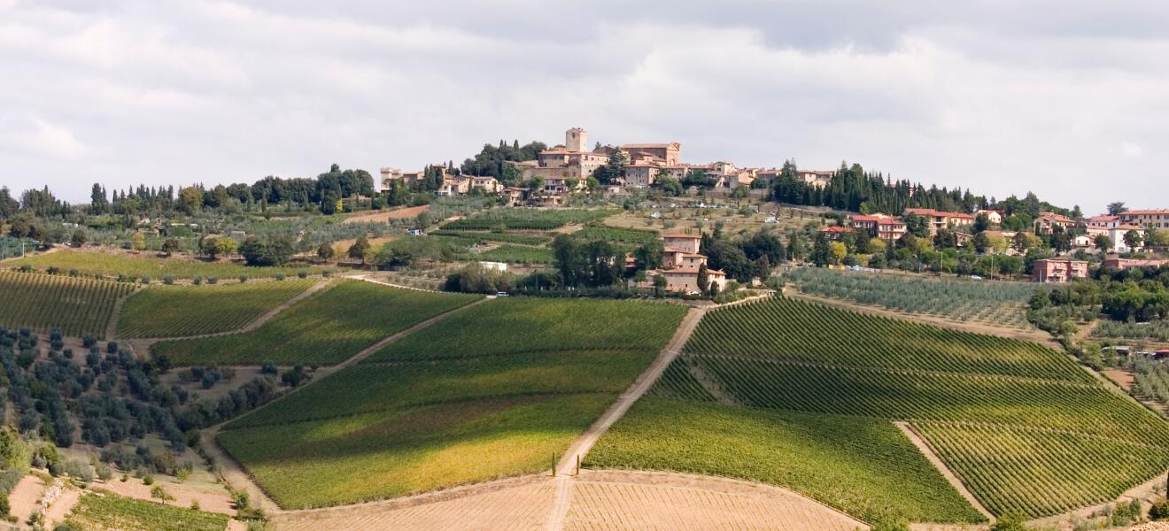 Azienda Agricola Panzanello