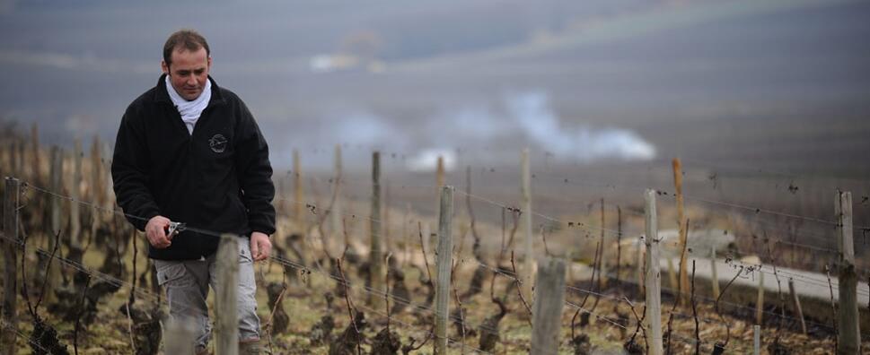 Domaine Michel Bouzereau et Fils