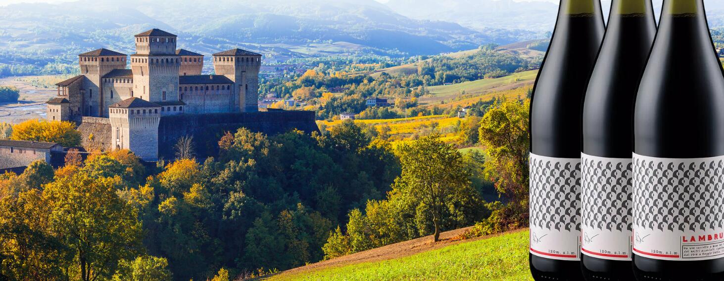 Cantina Puianello