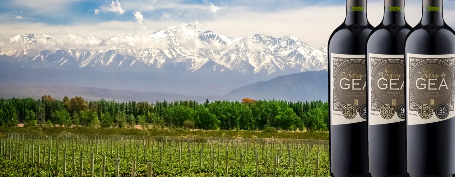 Bodegas Staphyle