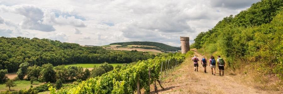 Weingut Brandt