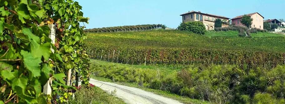 Weingut Prunotto