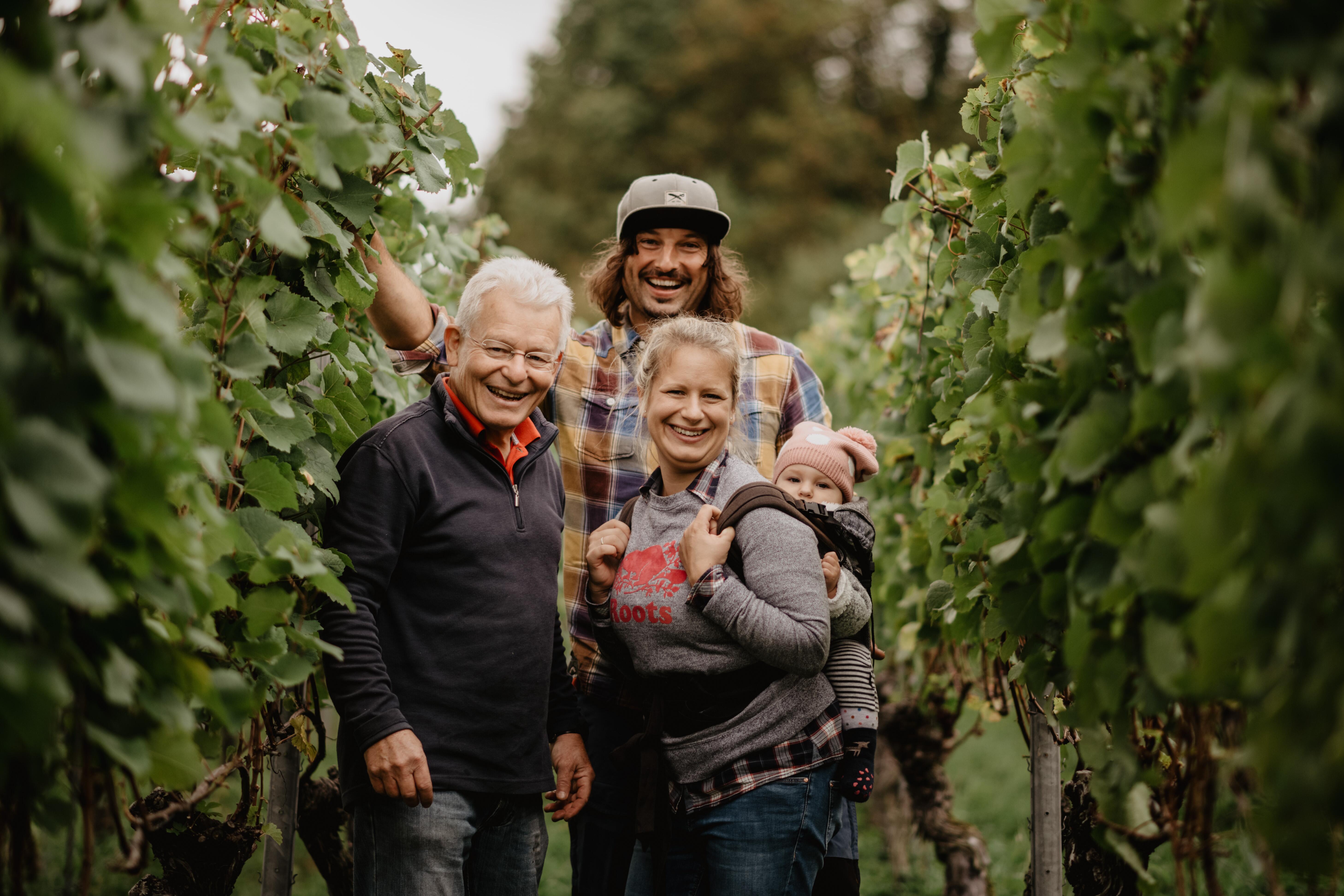 Weingut Holub