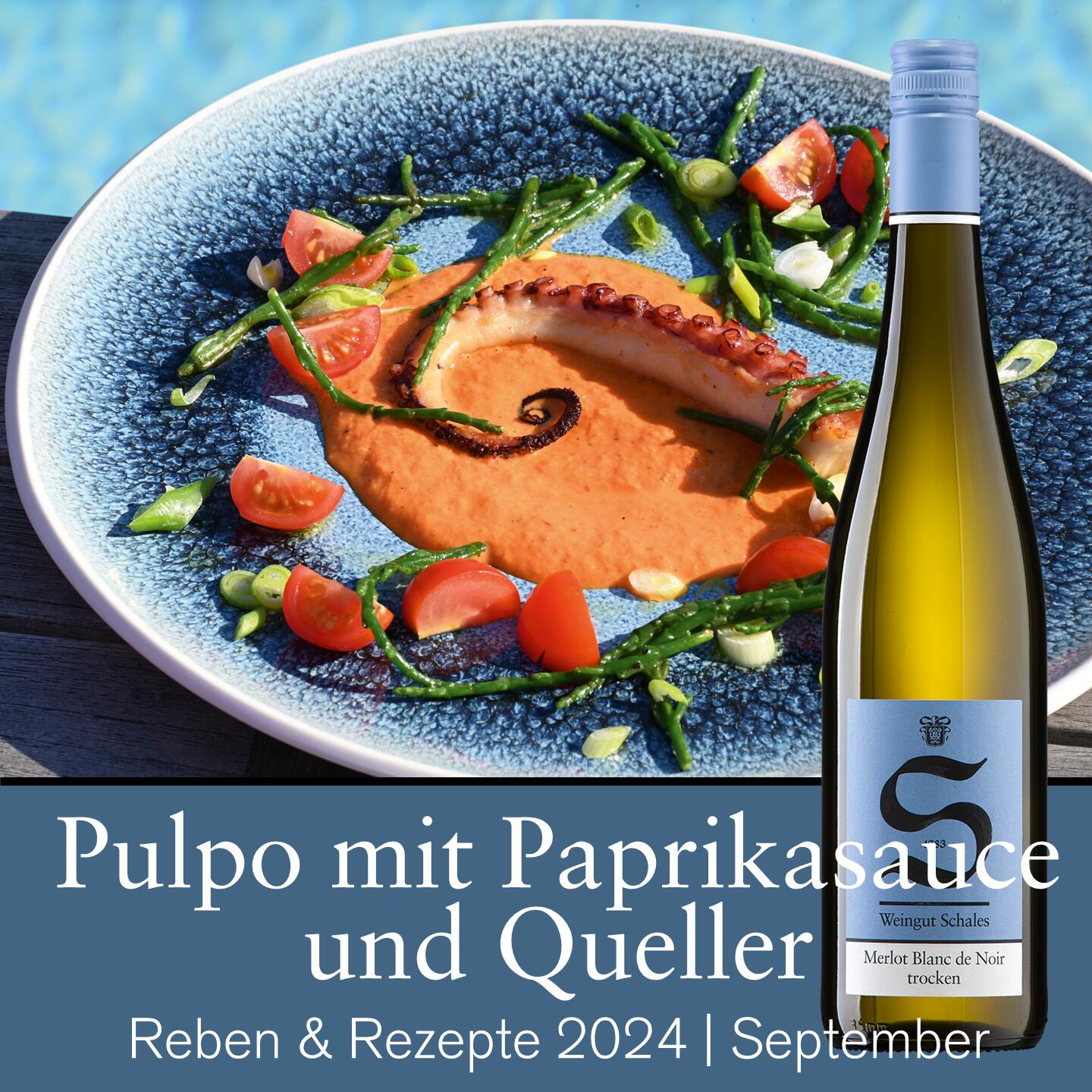 Rezept-Tipp | Set September 2024 (P066)