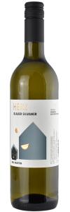 2023 Blauer Silvaner Steinbach Nonnenberg Weingut Max Martin