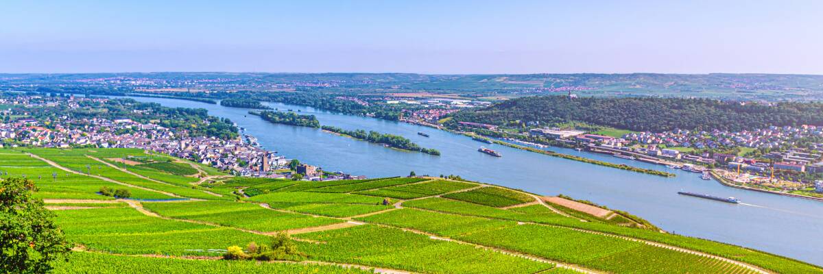 Wein aus Rheinhessen: Ein kurzer Überblick