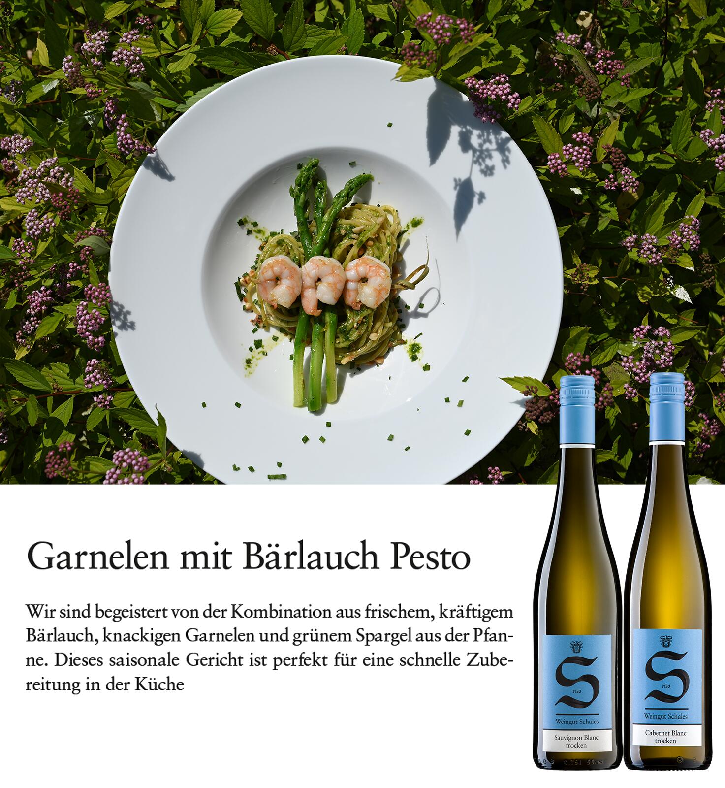 Rezept-Tipp | Set April 2024 (P061)