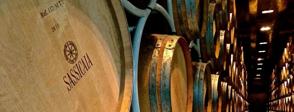 Weingut Tenuta San Guido