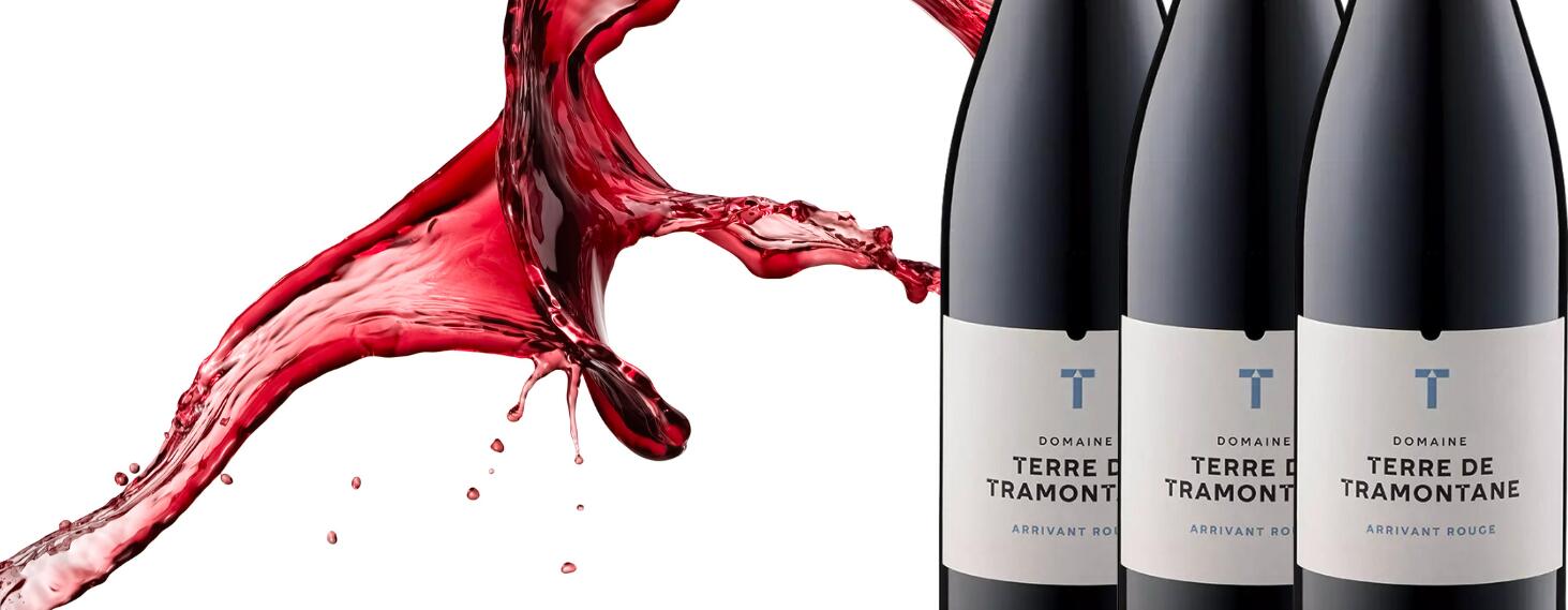 Domaine Terre de Tramontane