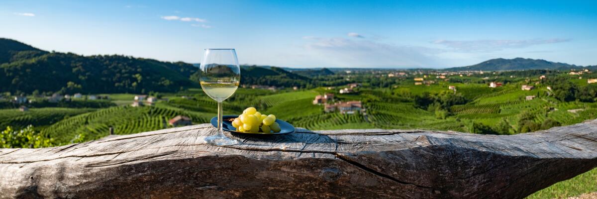 Unsere Neuentdeckung: Schmetterlinge im Glas