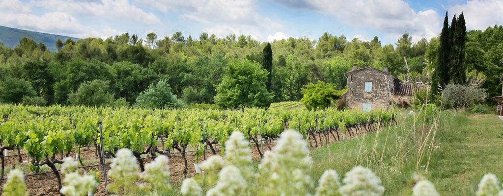 Weingut Beringer Vineyards