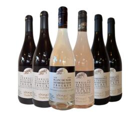 SolidAHRität - 6 er Flutpaket  Weingut Försterhof