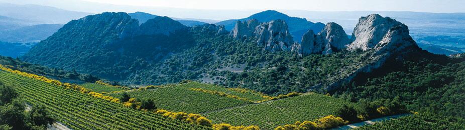 Weingut Francois Arnaud