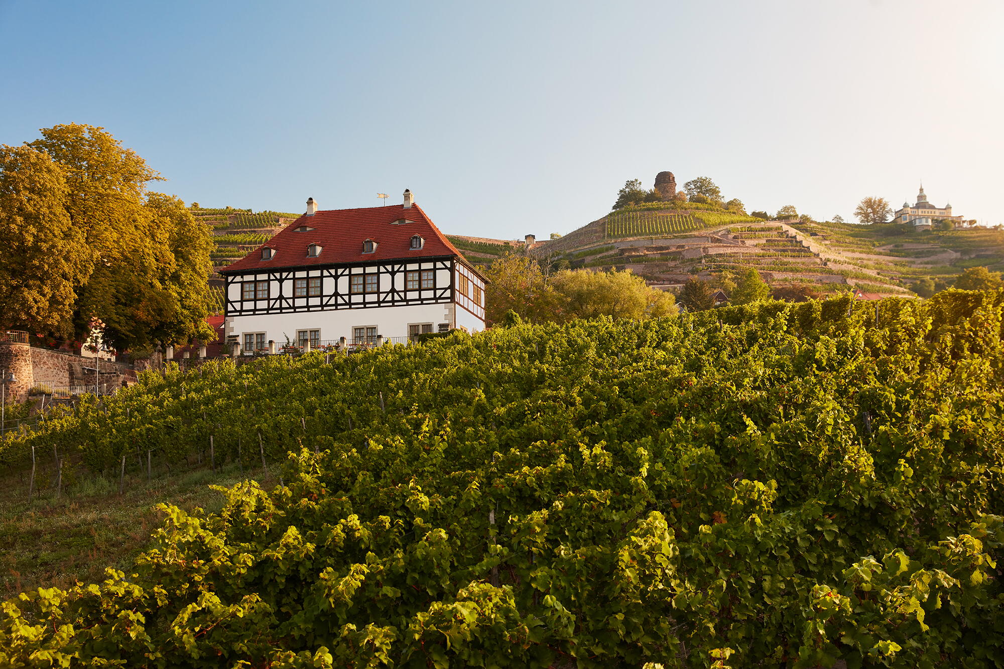 Weingut Hoflößnitz GmbH