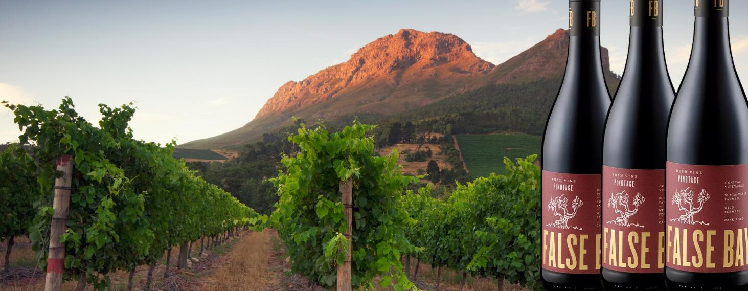 False Bay Vineyards