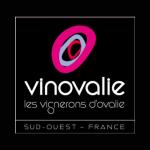 Logo von Vinovalie